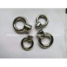 Factory Supplier Rigging Stainless Steel DIN582 Eye Nut/Bolt